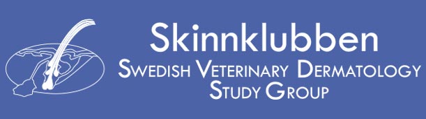 Skinnklubben